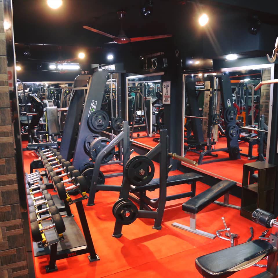 The Evolution Gym