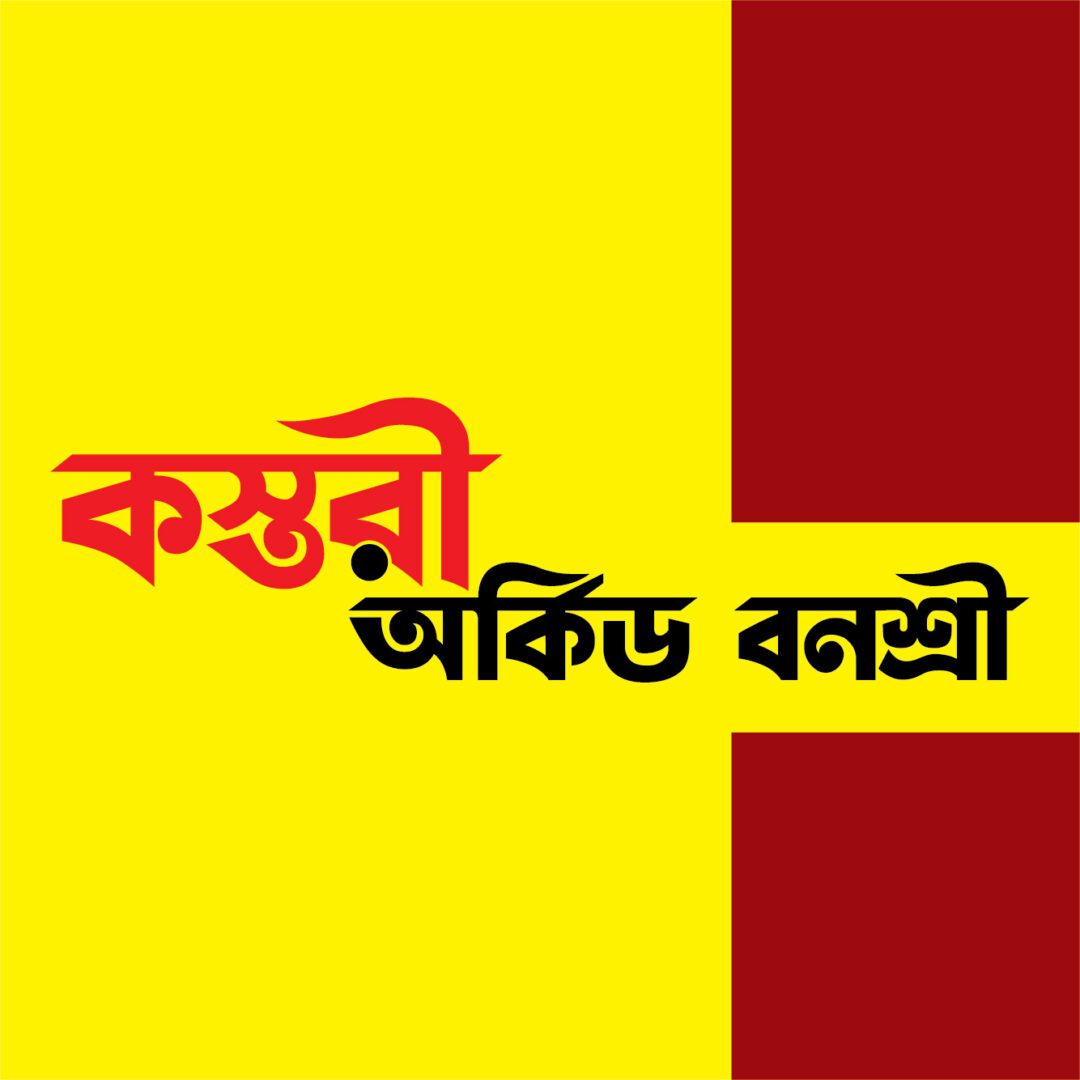 Kosturi Orchid – Banasree