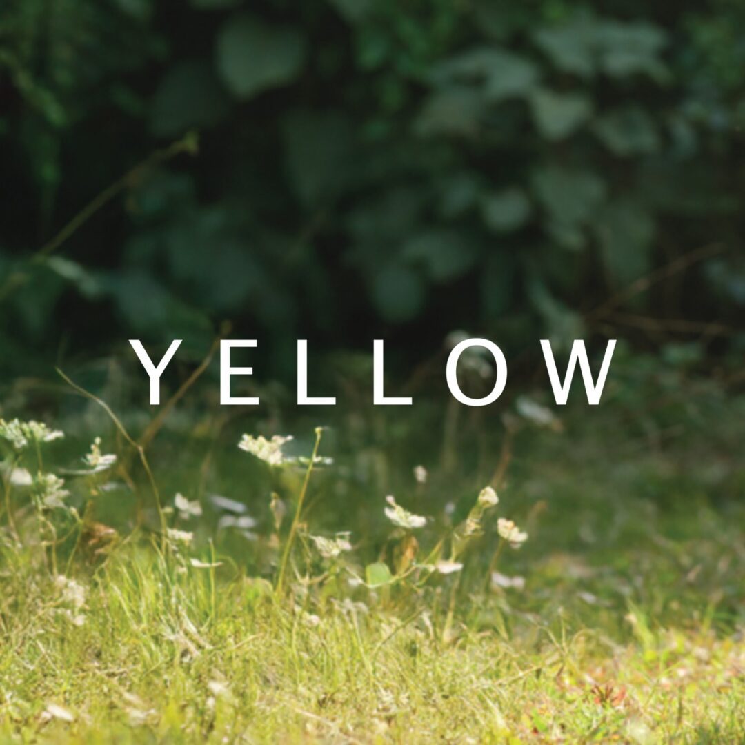 Yellow – Sylhet